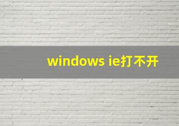 windows ie打不开